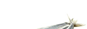 Category Banner