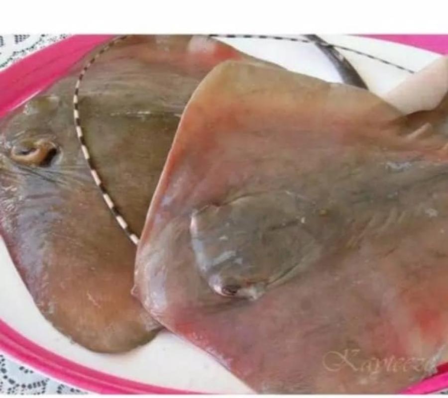 Ikan pari segar fresh