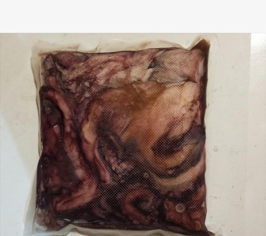 Gurita besar jumbo segar - isi 2 gurita