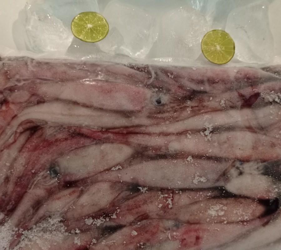Cumi Jarum Fresh 500 gram