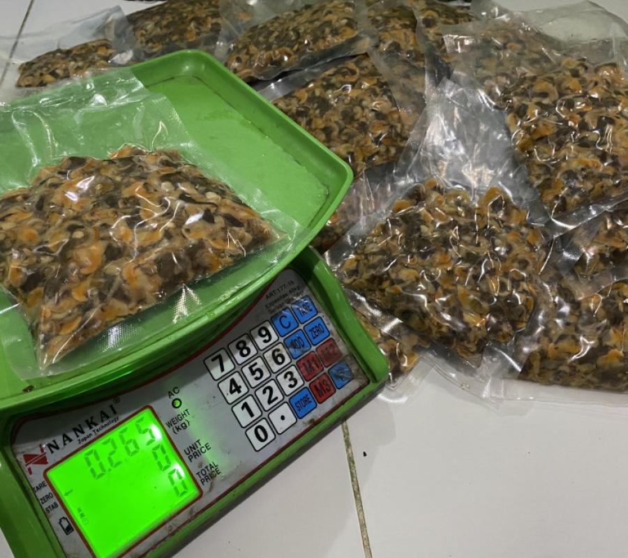 [Seafood] Kerang Dara Kerang Darah Kemasan 250 Gr