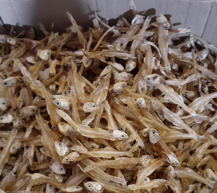 Ikan teri tawar