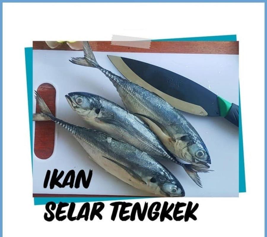 Ikan Selar Tetengkek
